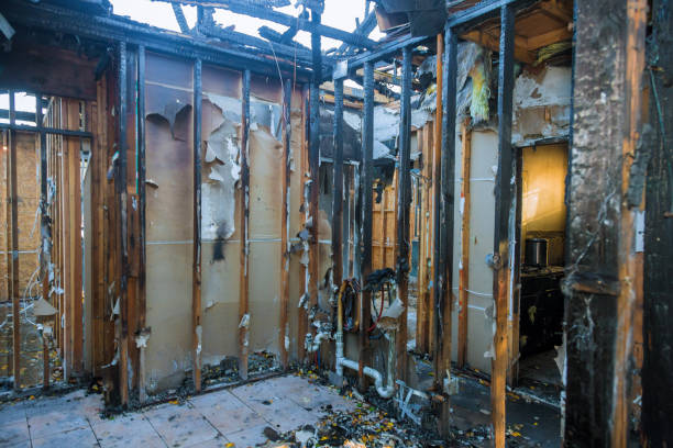 Professional Smoke Damage Removal technician working in Myersville, MD